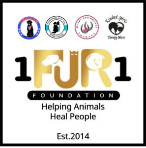 1fur1 all partners