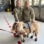 joyful airmen with therapy mini horse
